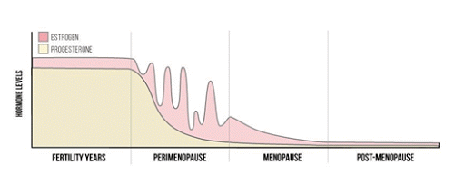 Menopause Cycle